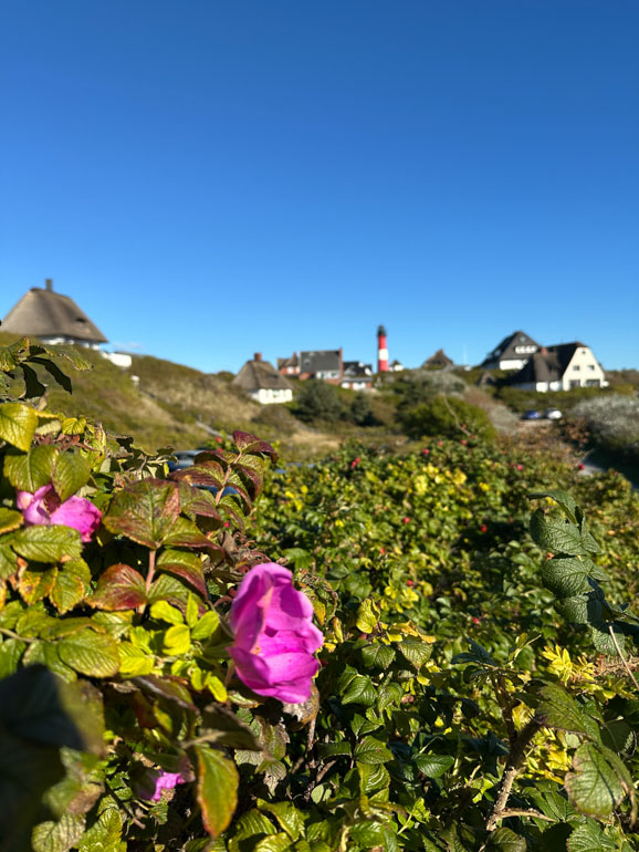 Hotel Budersand Sylt Golf Wellness Leuchtturm